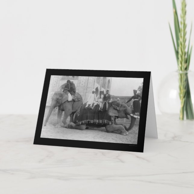 Men Travelling by Elephant in India 1903 Card (Front)