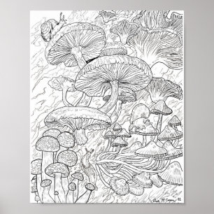 Menagerie of Mushrooms Colouring Page Poster