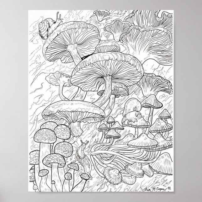 Menagerie of Mushrooms Colouring Page Poster (Front)