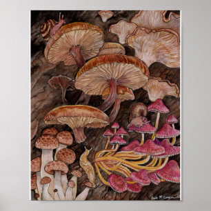 Menagerie of Mushrooms Poster