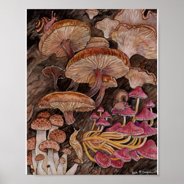 Menagerie of Mushrooms Poster (Front)