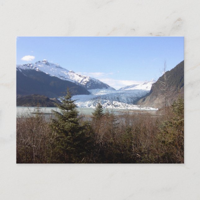 Mendenhall Glacier, Alaska Postcard (Front)