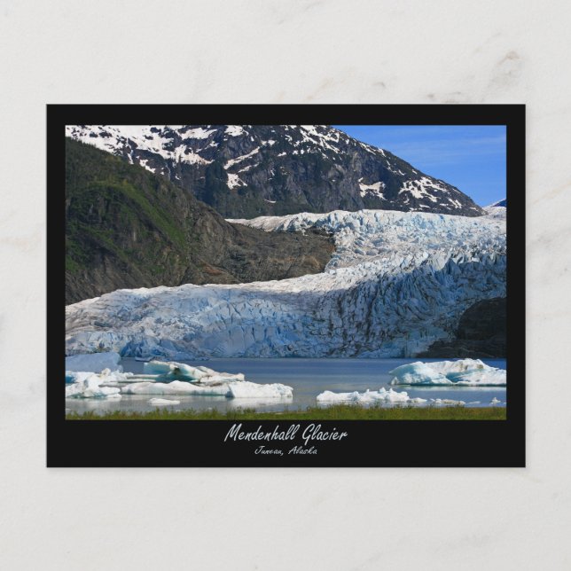 Mendenhall Glacier / Juneau Alaska Postcard (Front)