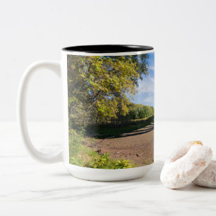 mendota bridge through fort snelling park Two-Tone coffee mug