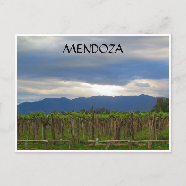 mendoza andes sunset postcard (Front)