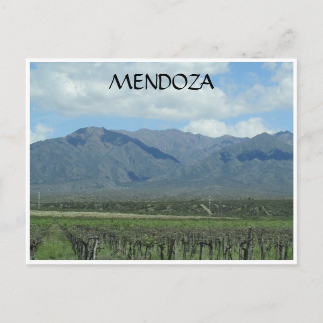 mendoza andes vineyard postcard (Front)