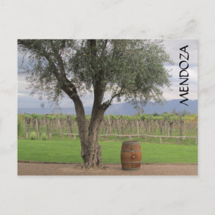 mendoza barrel tree postcard