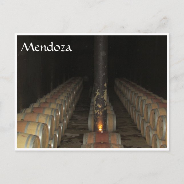 mendoza barrels postcard (Front)