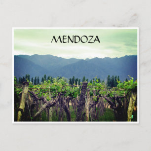 mendoza vines andes postcard