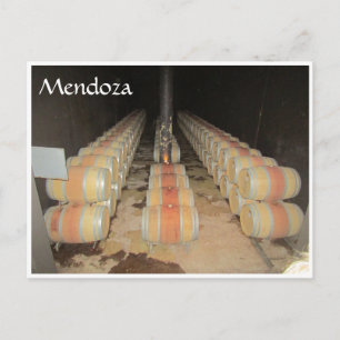 mendoza wine barrels postcard