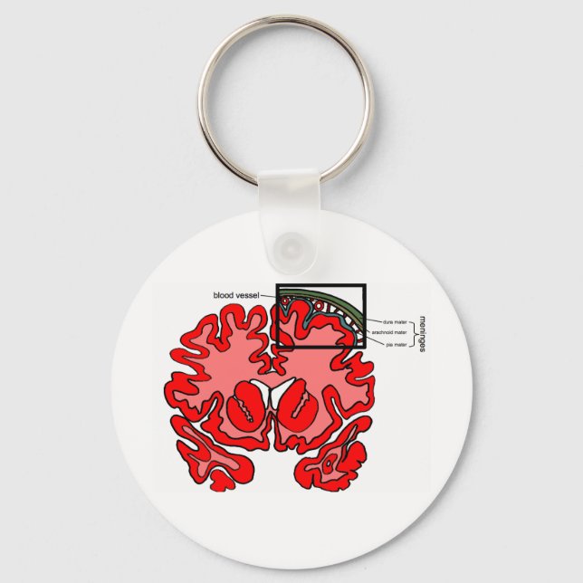 Meninges Key Ring (Front)