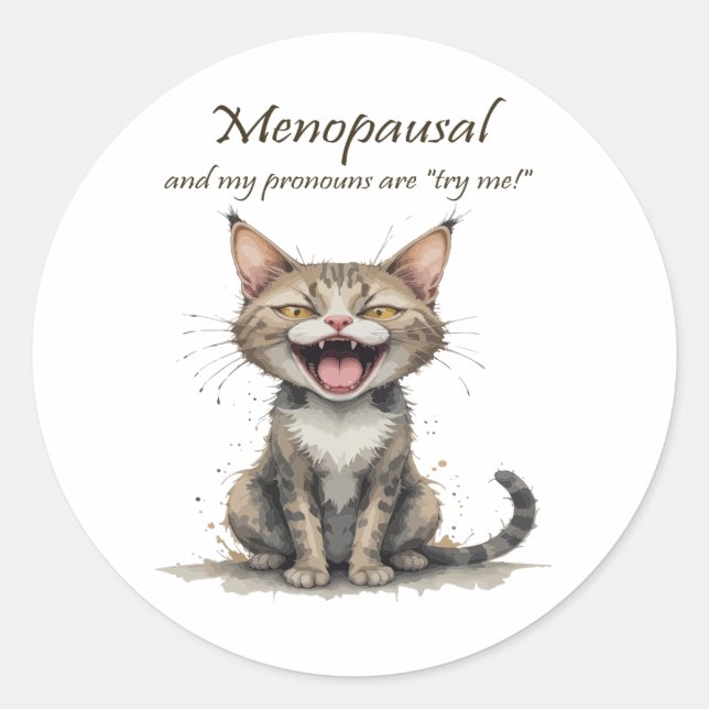 Menopause Humour Stressed Angry Cat Classic Round Sticker (Front)