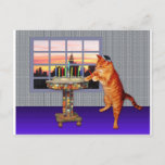 menorah cat.jpg postcard<br><div class="desc">Not just for Chanukah any more - this pretty ginger lights the candles because a great miracle happened here!</div>