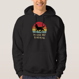 Mens Corgie Gales Dog Silhouette Retro Vintage Hoodie