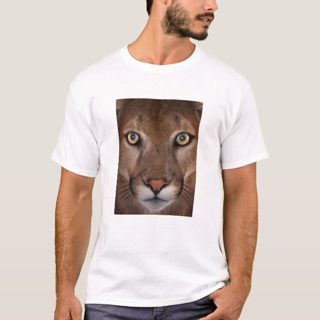 Men's cougar t-shirt (Front)