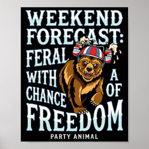 Mens funny grizzly bear patriotic summer freedom poster