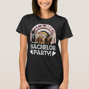 Mens Mens Embarrassing Bachelor Party Groomsman Pi T-Shirt