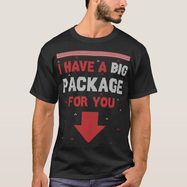 Mens Naughty Xmas I Have A Big Package Inappropria T-Shirt (Front)