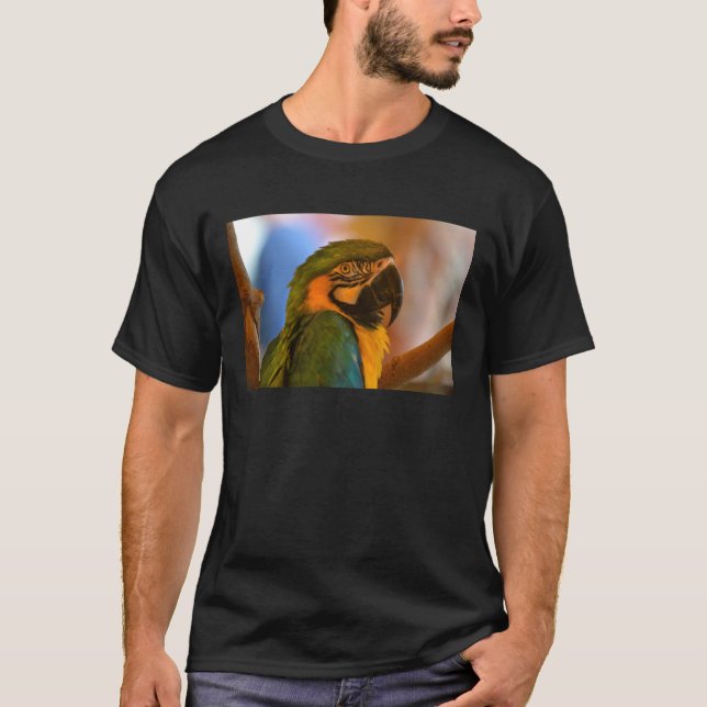 Men's Parrot Tee Shirt (Front)