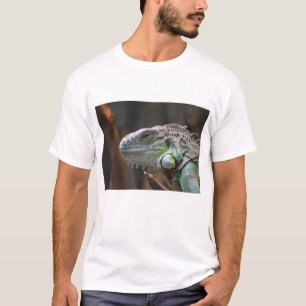 Mens T Shirt with colourful Iguana Lizard
