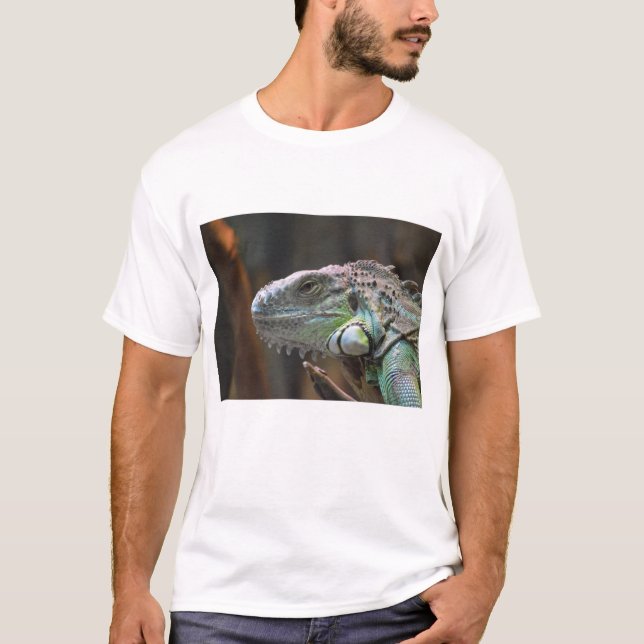 Mens T Shirt with colourful Iguana Lizard (Front)