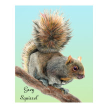 Mens Watercolor Wildlife Grey Squirrel Watch