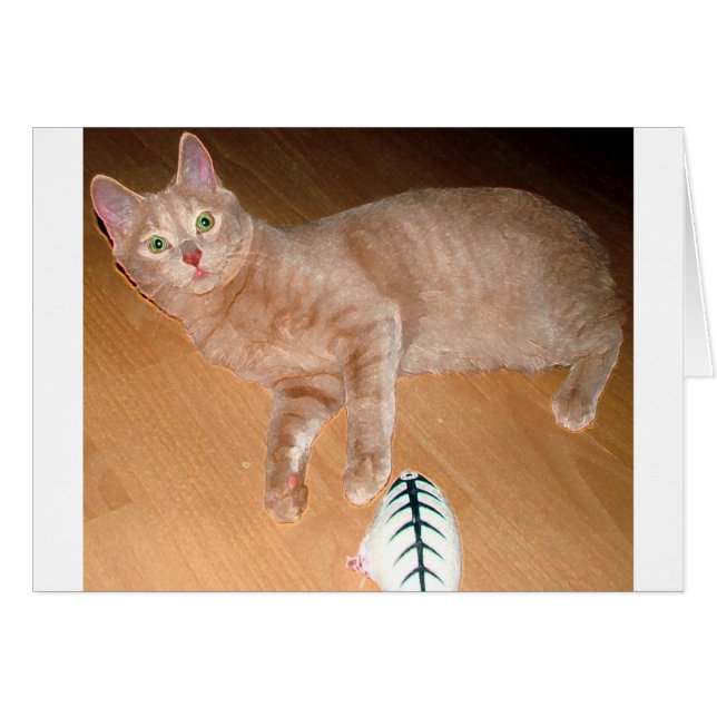 MEOW (Front Horizontal)