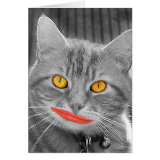 Meow