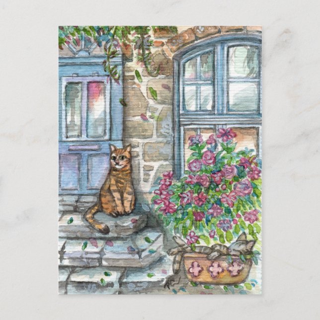 Meow at the Door Postcard (Front)