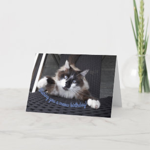 Meow birthday! card