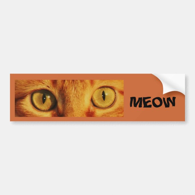MEOW BUMPER STICKER (Front)