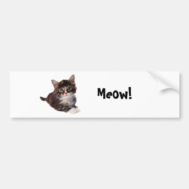 Meow! Bumper Sticker (Front)