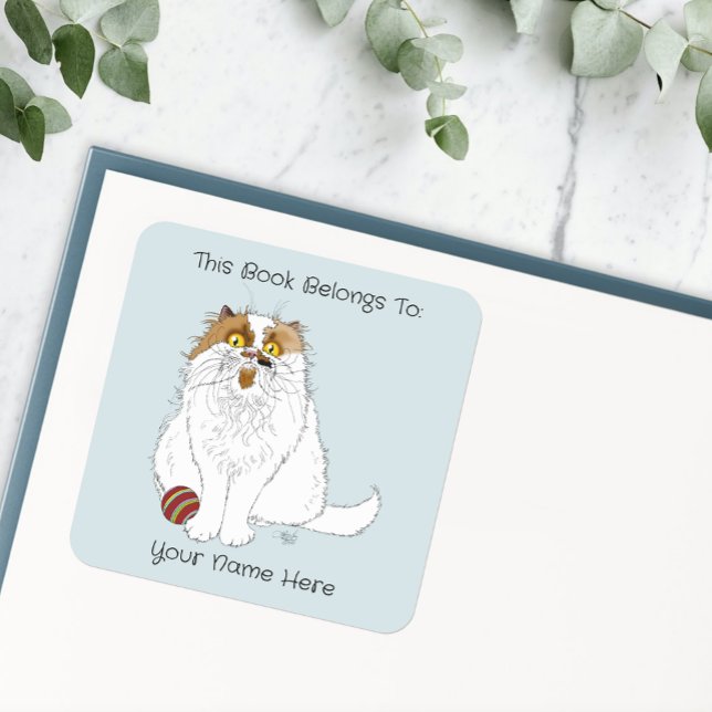 Meow Cat Funny Bookplate Square Sticker (Creator Uploaded)