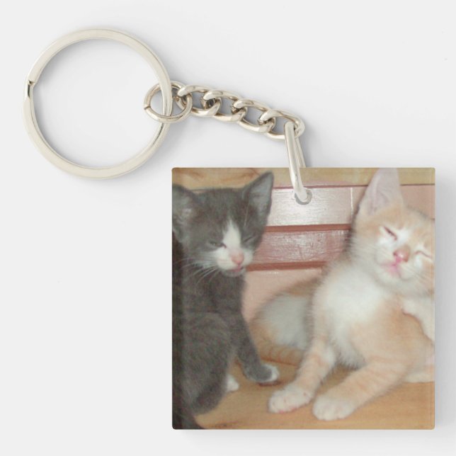 Meow Cats 10 Square Acrylic Keychain (Front)