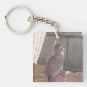Meow Cats 11 Double Sided Acrylic Key Chain