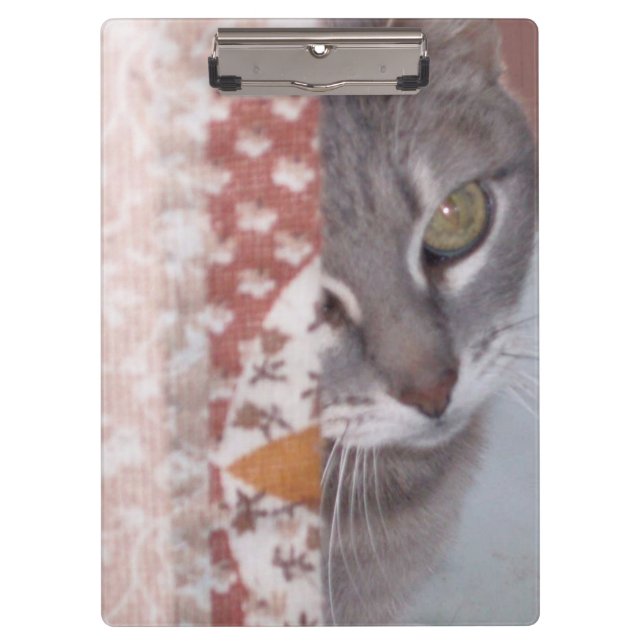 Meow Cats 13 Clipboard (Front)