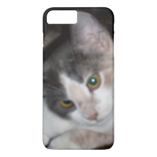 Meow Cats 17 iPhone Cases