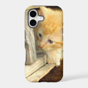 Meow Cats 1 iPhone Barely There Case