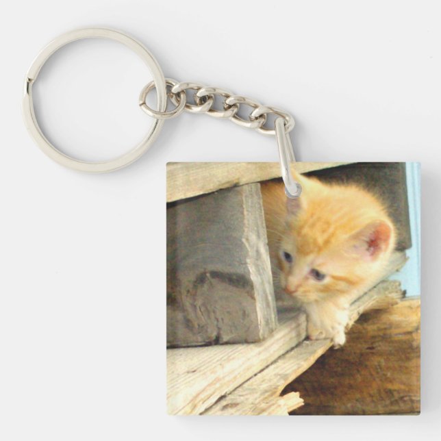Meow Cats 1 Square Acrylic Keychain (Front)