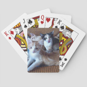 Meow Cats 21 Playing Cards