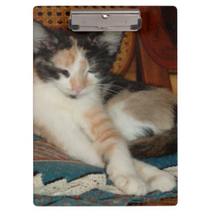 Meow Cats 23 Clipboard