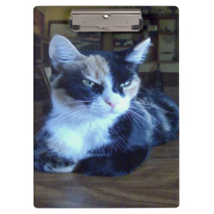 Meow Cats 24 Clipboard