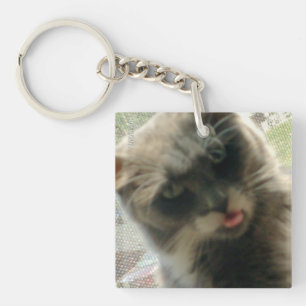 Meow Cats 2 Square Acrylic Keychain
