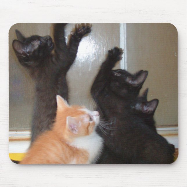 Meow Cats 36 Mousepad (Front)