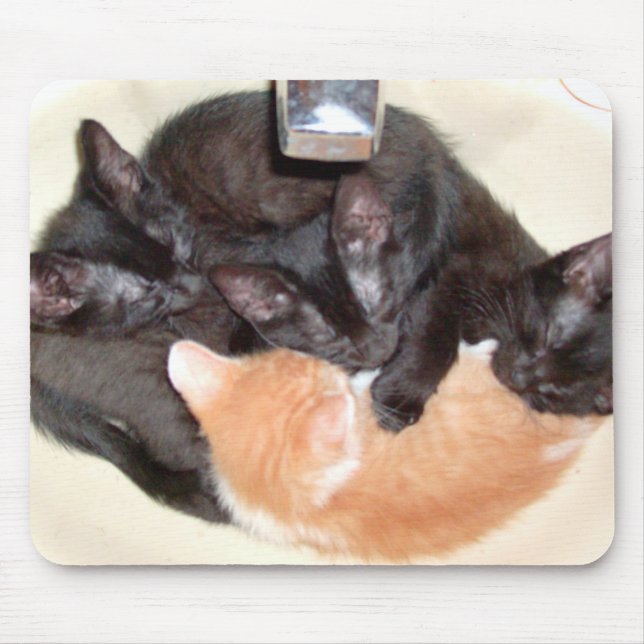 Meow Cats 37 Mousepad (Front)