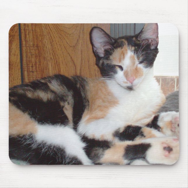 Meow Cats 39 Mousepad (Front)