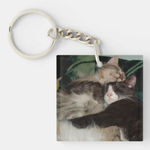 Meow Cats 3 Square Acrylic Keychain