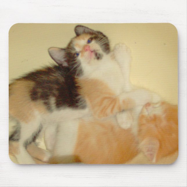 Meow Cats 5 Mousepad (Front)