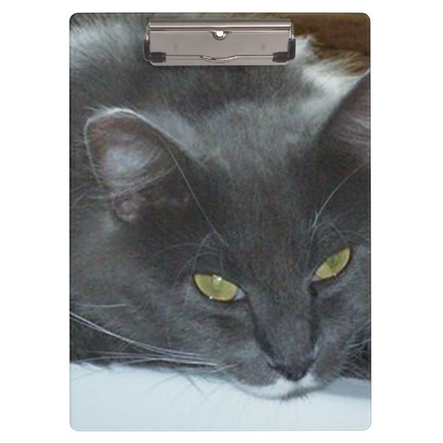 Meow Cats 8 Clipboard (Front)