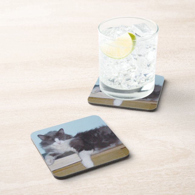 Meow Cats 9 Coaster Set (Right Side)